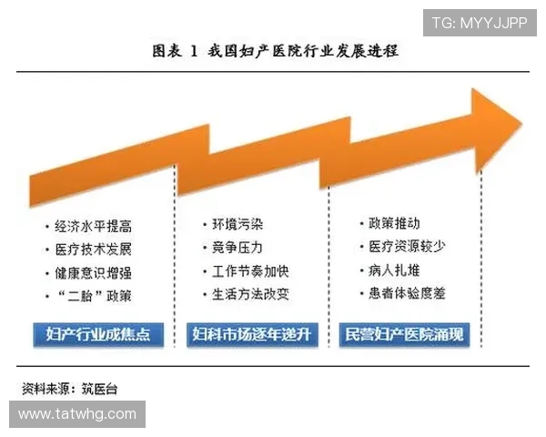 辽宁姚明伟的篮球之路与未来发展展望分析